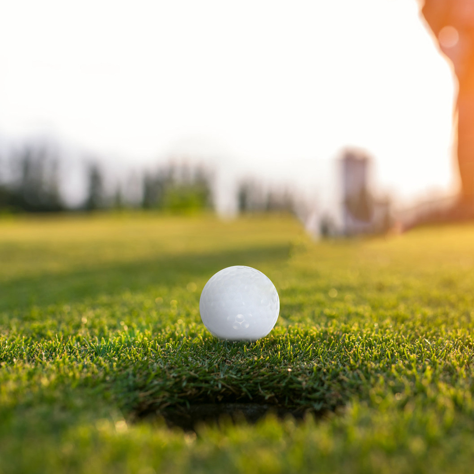 İç Mekan Pratik Golf Topları E - Golf Equipment Beginners incelemesi ve fiyatı